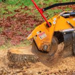 Why Professional Stump Removal Is Better Than Leaving Stumps In Place