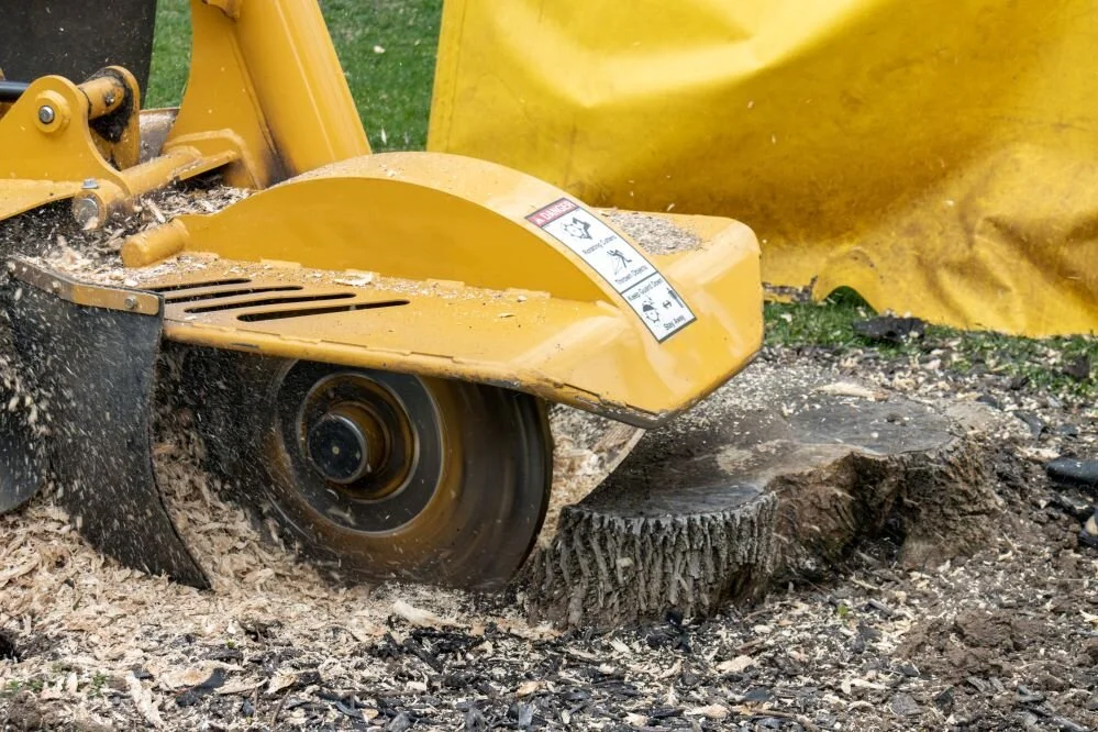 Stump Grinding Stockport