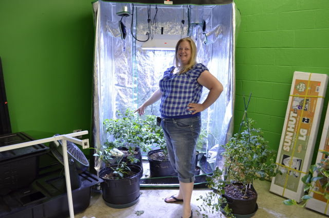 grow tent packages
