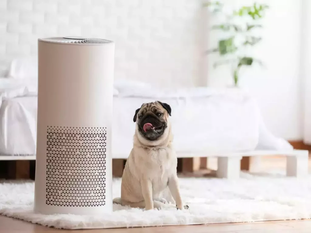 amazon air purifier 